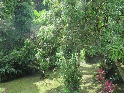 Apartamento Serenity