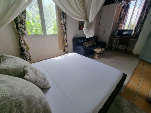 Hostal Racoon Lodge
