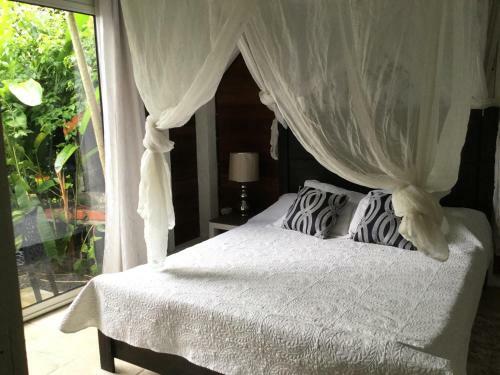 Hostal Racoon Lodge