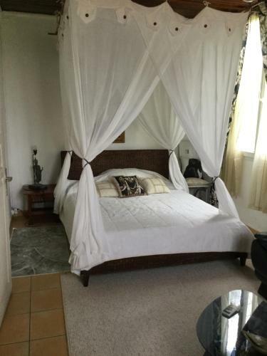 Hostal Racoon Lodge