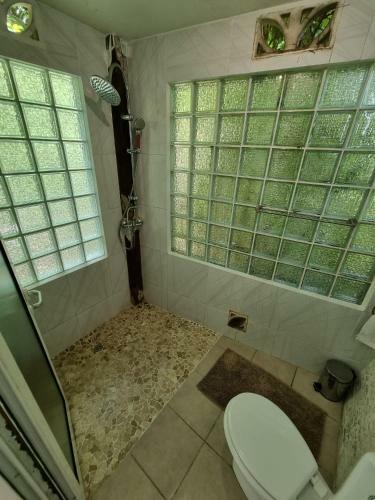 Hostal Racoon Lodge