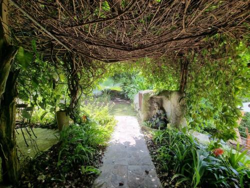 Hostal Racoon Lodge