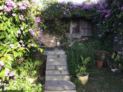 Hostal Racoon Lodge