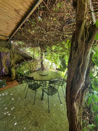 Hostal Racoon Lodge