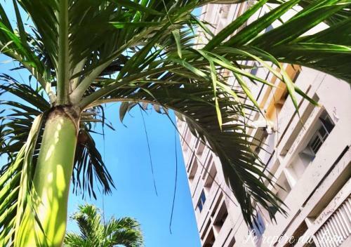 Apartamento Le Rep�re Du Lion : Appartement de Standing
