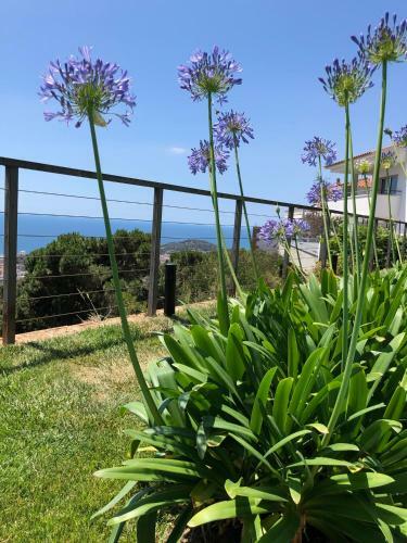 Villa Oasis Costa Brava