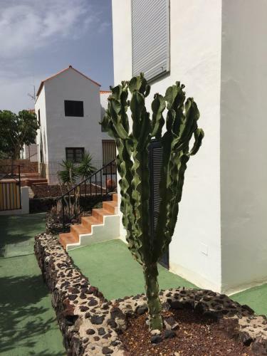 Apartamento Sotavento 28