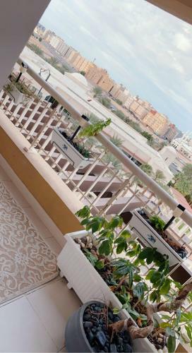 Apartamento ??? ?????