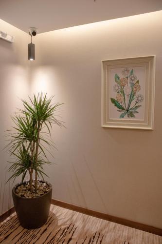Apartamento ????? ??????? ????????
