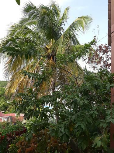 Apartamento Les Hibiscus