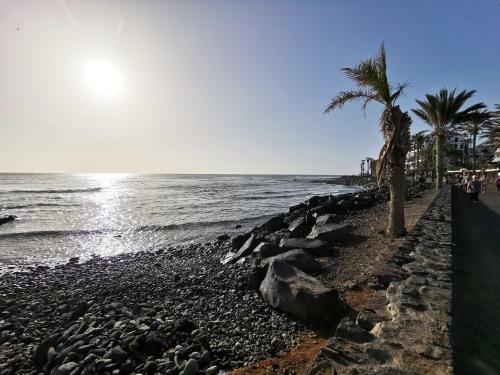 Apartamento Home2book Los Cristianos, Pool & Beach