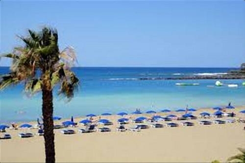 Apartamento Los Cristianos Port Royale 157