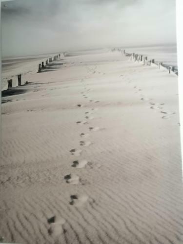 Hostal Pensi�n Playa