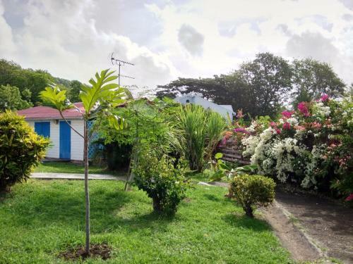Apartamento Appartement Rosbambou Les Pieds Dans L Eau