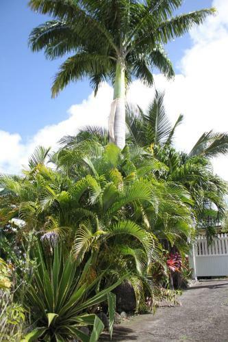 Bed & Breakfast Chambre Et Table D?h�te Au Diamant