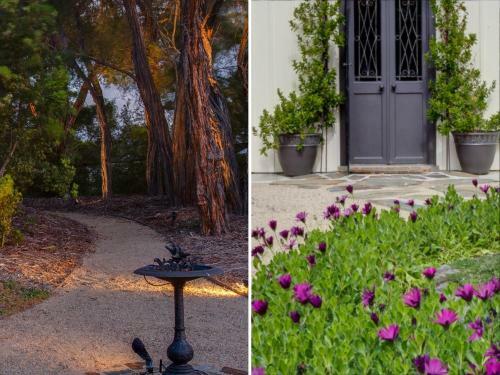 Hostal Silverleaf Cottage