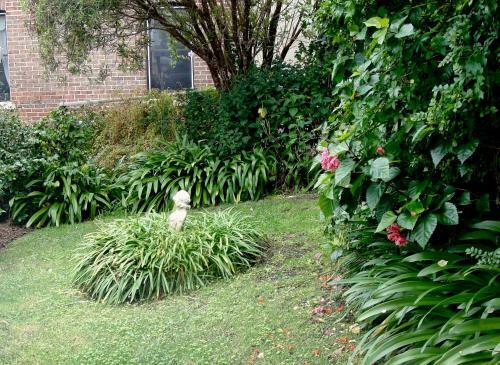 Bed & Breakfast Dunmoylen House