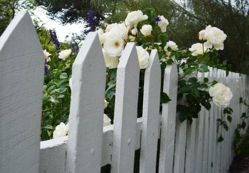 Bed & Breakfast Dunmoylen House