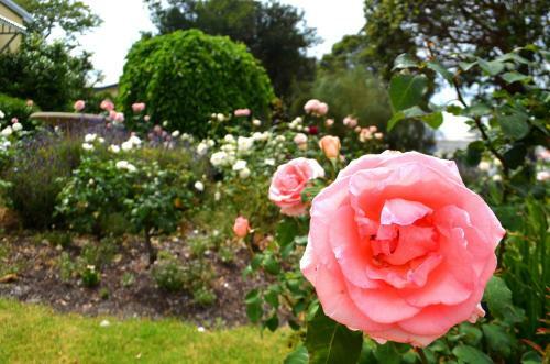 Bed & Breakfast Dunmoylen House