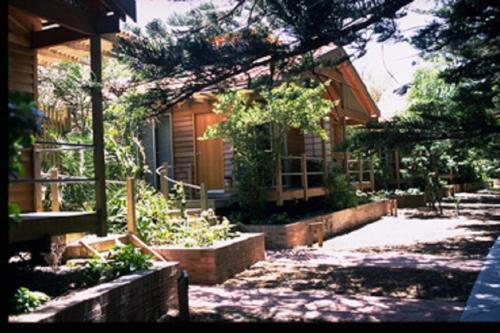 Hotel Kims Beach Hideaway