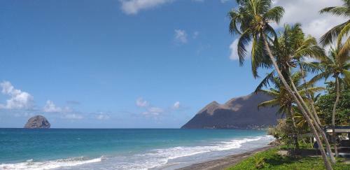Apartamento Studio Evasion Tropicale Diamant