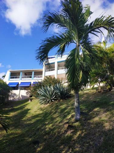 Apartamento S�jour � La Canonni�re