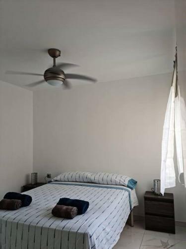 Big Apartament