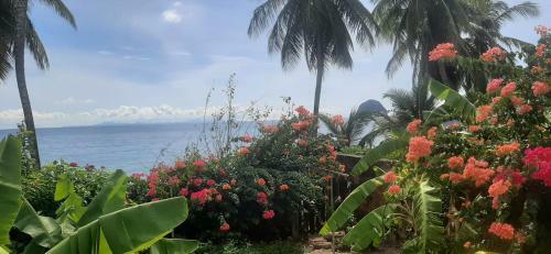 Apartamento Charmant T2 � 5 Mn de La Superbe Plage Du Diamant