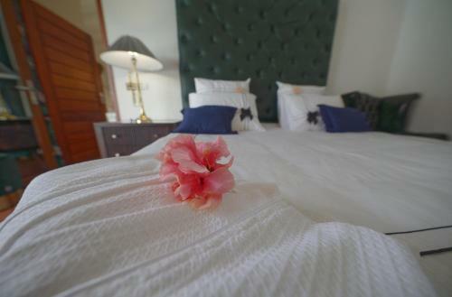 Hostal Suite Deluxe Villa Clair de Lune Fwi