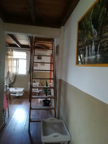 Appartement Le Citronnier
