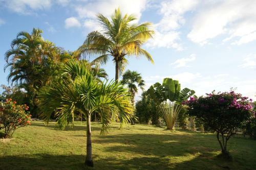 Apartamento R�sidence Anamanga