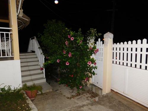 Apartamento Ixora