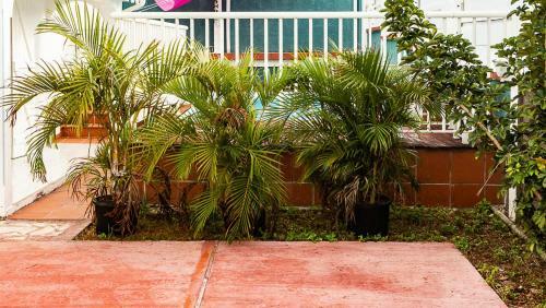 Villa Campeche