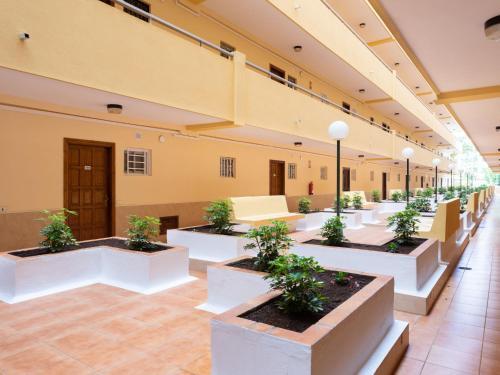 Apartment Comfy Los Cristianos