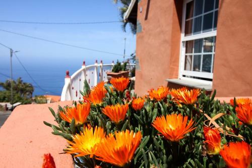 Casas Los Alisios