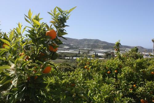 Villa Cortijo Del Sidi