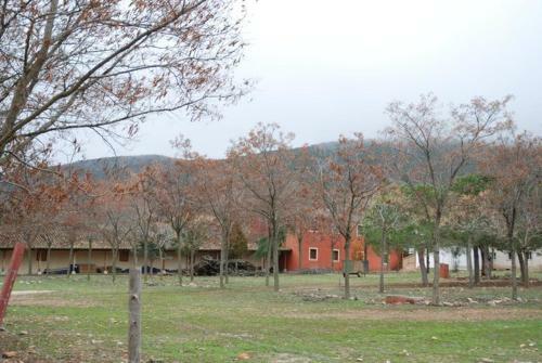 La Dehesa Boyal