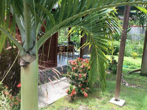 Bungalow Tropical