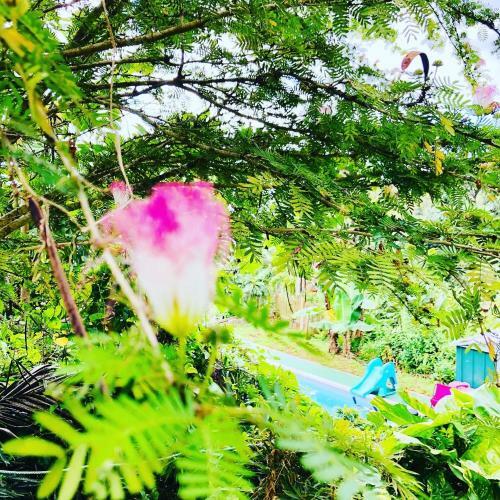 Lodge La Bulle Aux �toiles