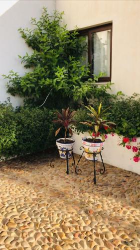Villa Cortijo Dominguez
