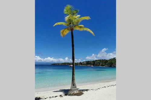 Apartamento T2 Spacieux Et Moderne - Plages � Proximit�s