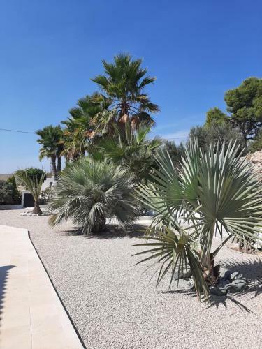 Bed & Breakfast La Dolce Vita