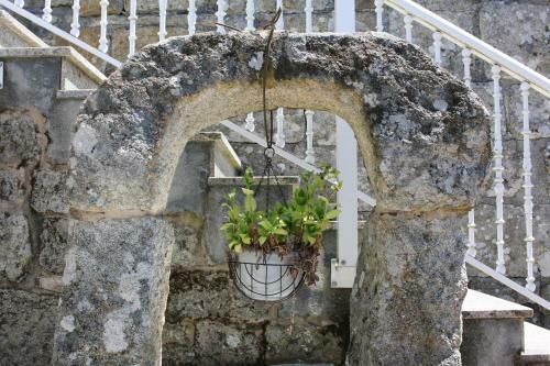 Apartamento Celtainer