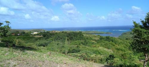 Martiniquesafarilodge