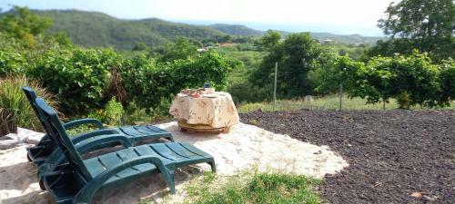 Martiniquesafarilodge