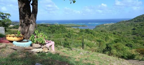 Martiniquesafarilodge