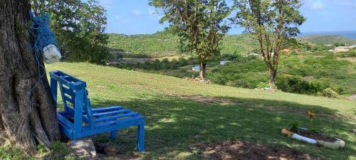 Martiniquesafarilodge