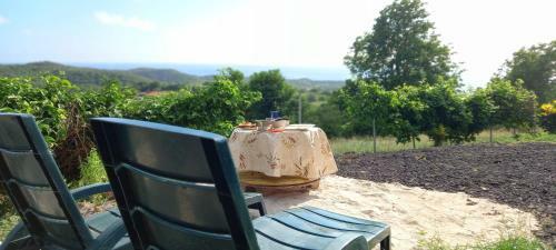 Martiniquesafarilodge