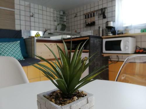 Apartamento Studio Transit Sur La Route Des Plages