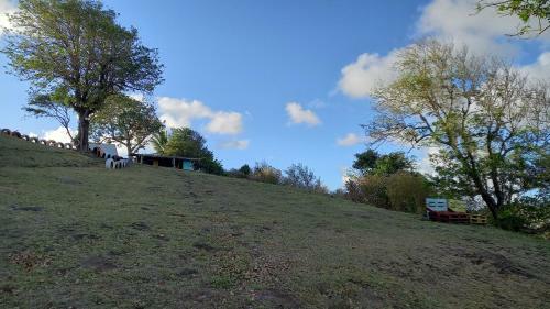 Martiniquesafarilodge